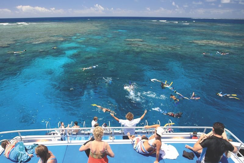 Agincourt Reef Snorkeling Experience from Port Douglas, Cairns or Northern Beaches - Getting ready for the three snorkel sites