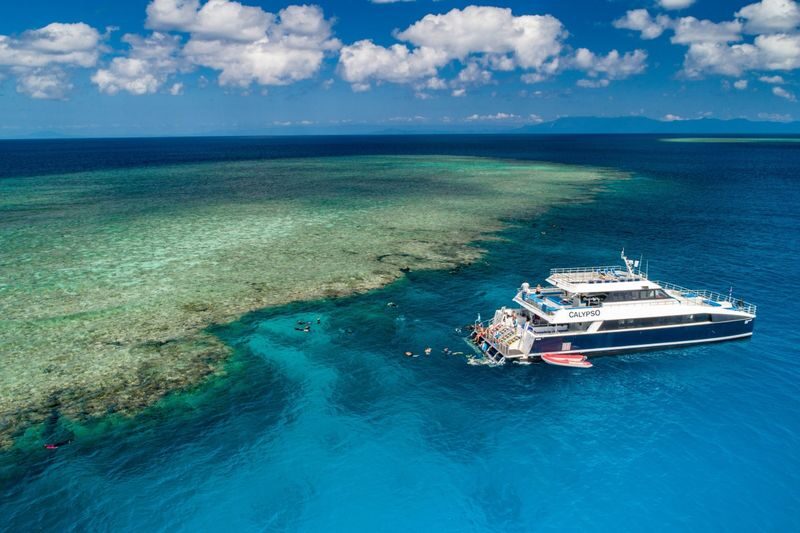 Agincourt Reef Snorkeling Experience from Port Douglas, Cairns or Northern Beaches - Tea and lunch keep the day moving