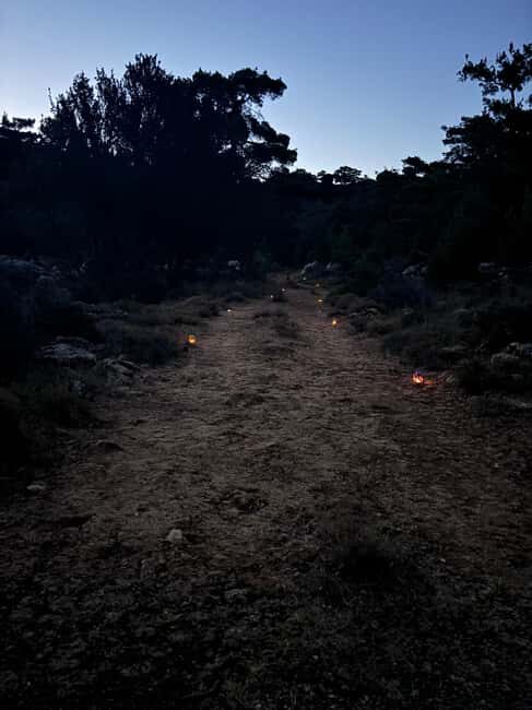 Agios Nikolaos: Evening Forest Yoga and Hiking Experience - A Close Look at the Experience