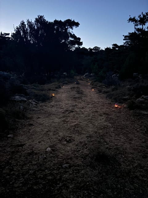 Agios Nikolaos: Forest Yoga and Hiking Experience - The Sum Up