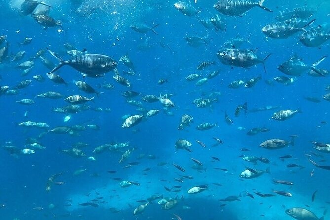 Agios Nikolaos Semisubmersible Mediterranean Trip  - Crete - Traveler Photos