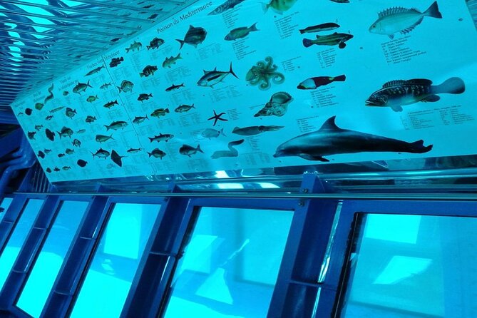 Agios Nikolaos Semisubmersible Mediterranean Trip  - Crete - Directions and Tips