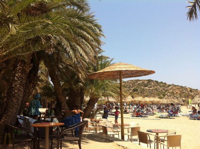 Agios Nikolaos: Toplou and Vai Palm Beach Day Trip - Pickup and Transportation