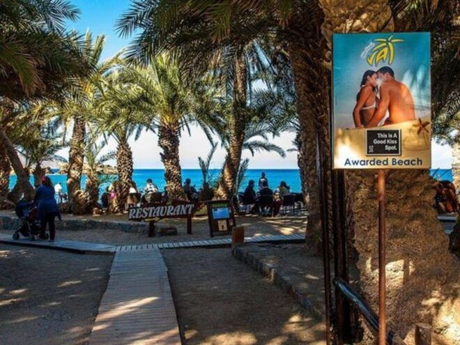 Agios Nikolaos: Toplou and Vai Palm Beach Day Trip - Customer Reviews and Feedback