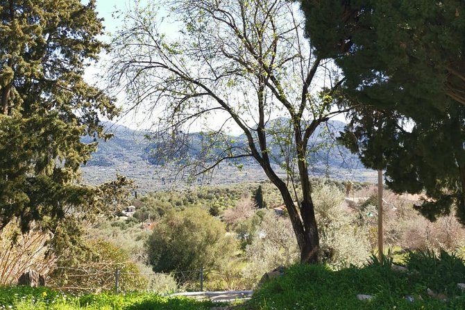 Agios Petros Top of the Mountan Tour - Lunch in the Charming Village