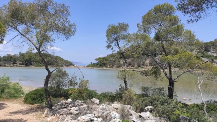 Agistri Island Private Highlights Tour - Practical Tips for Your Tour