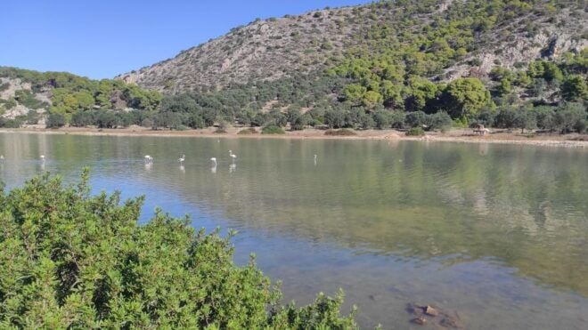 Agistri: the Ultimate Experience on Aponissos Island - Sunset Views and Scenic Beauty