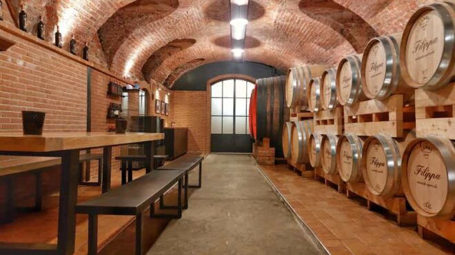 Agliano Terme: Winery Tour and Wine Tasting With Snacks - Tour Description