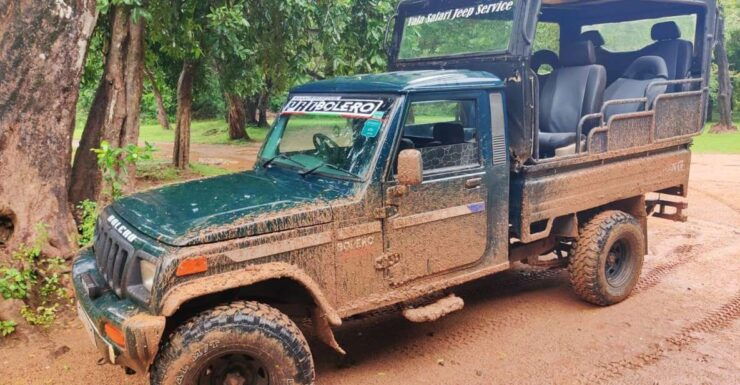 AGN Yala Safari - Leopard Tours - Experience Highlights