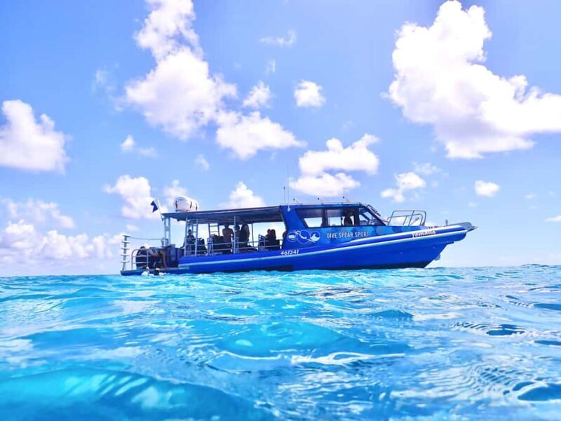 Agnes/1770: Southern Great Barrier Reef Scuba Diving Trip - What Makes This Tour Stand Out?  