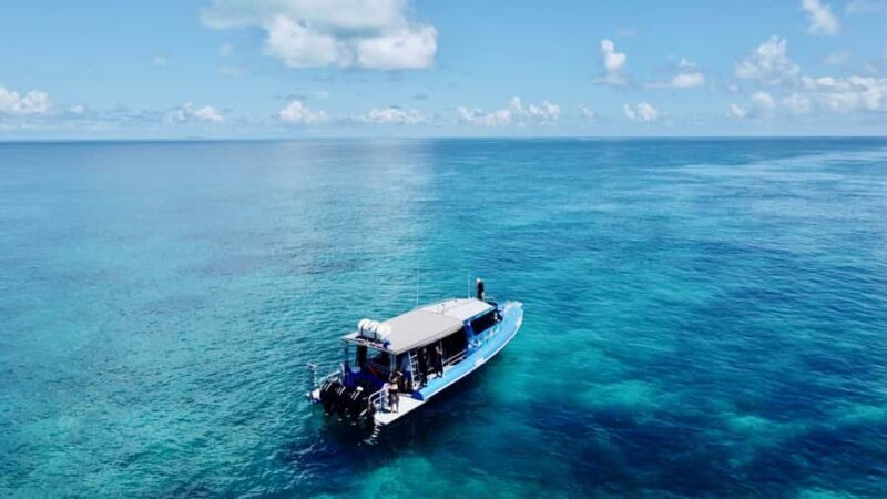 Agnes/1770: Southern Great Barrier Reef Snorkelling Day Trip - Authentic Insights from Reviewers