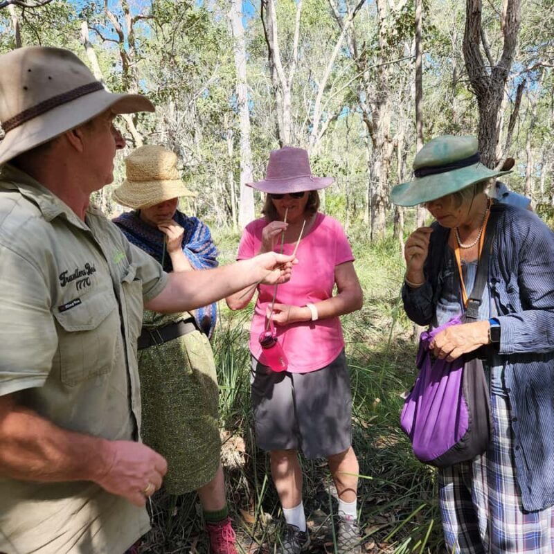 Agnes Water: BushTracks Eco Tour with local guide - Good To Know