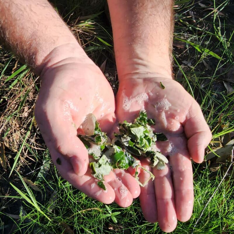 Agnes Water: BushTracks Eco Tour with local guide - Duration & Group Size