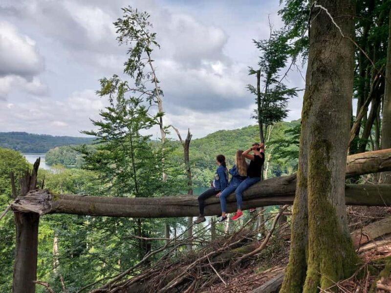 agów: Horseback Riding in agów Landscape Park - Discovering agów Landscape Park by Horseback