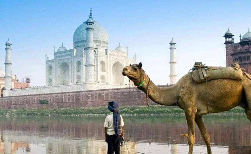 Agra: 3-Hour Private Guided Walking Tour of the Taj Mahal - Practical Details and Tips