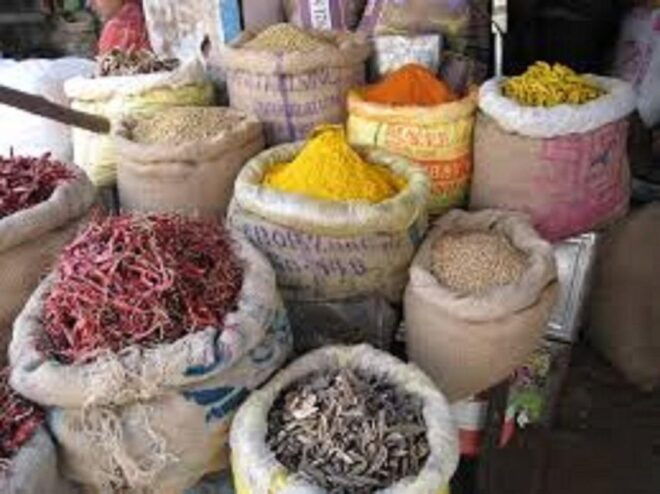 Agra : Old Bazar & Kinari Bazar Heritage Walking Tour. - Wildlife Encounters Along the Walking Tour