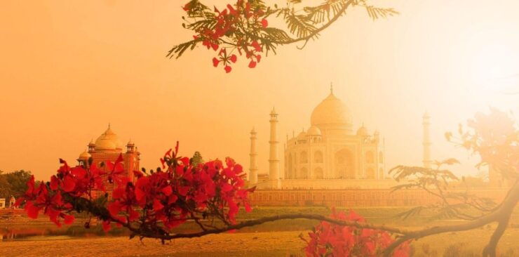 Agra: Private Day Trip to Taj Mahal & Agra Fort - Booking Information