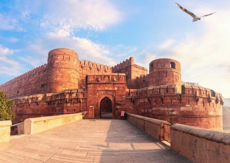 Agra: Private Guided Walking Tour - Activity Description