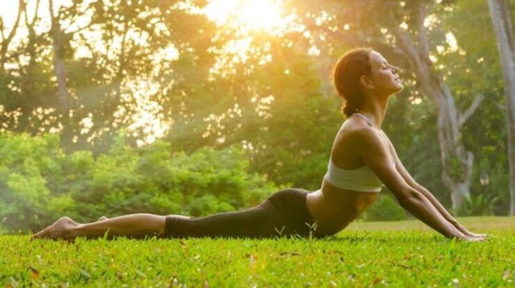 Agra: Private Yoga Tour With Tajmahal And Agra Fort Visit - Tour Details