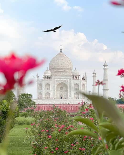 Agra: Skip-The-Line Taj Mahal & Agra Highlights Tour - The Benefits of a Private Guide