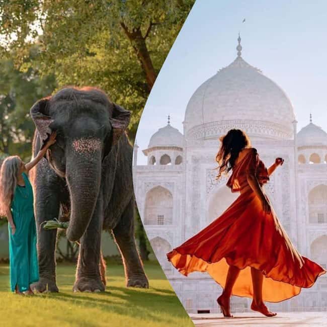 Agra: Skip the Line Taj Mahal & Elephant SOS Tour with Lunch - Potential Drawbacks or Considerations