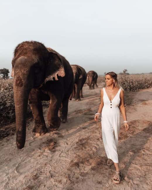 Agra: Skip the Line Taj Mahal & Elephant SOS Tour with Lunch - FAQs