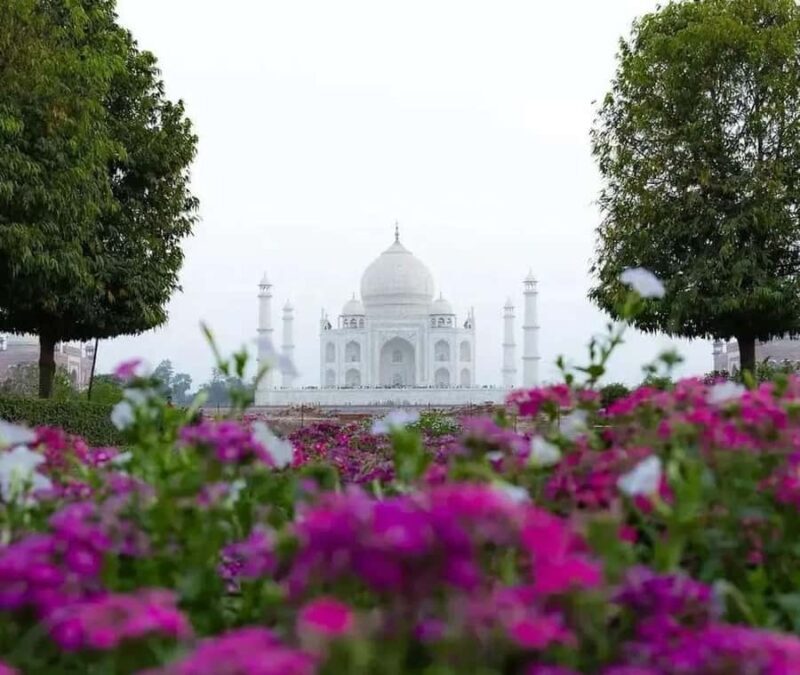 Agra: Skip-the-Line Taj Mahal & Mausoleum Guided Tour - Who Should Consider This Tour?