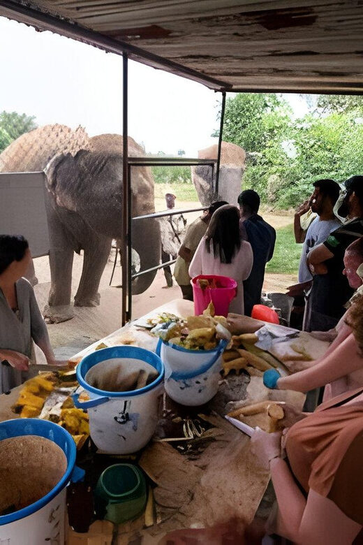 Agra: Taj Mahal, Agra & Elephant SOS Full or Half Day Tour - FAQ