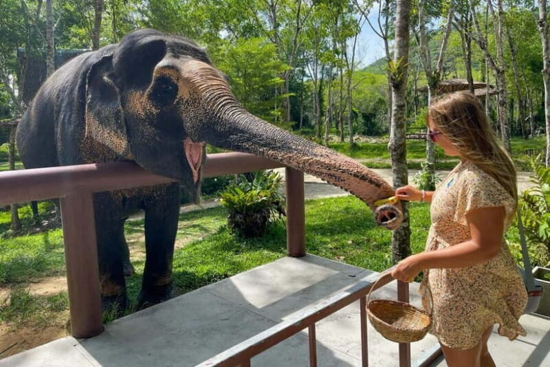 Agra: Taj Mahal, Agra Fort & SOS Wildlife Sanctuary Tour - The Itinerary in Detail