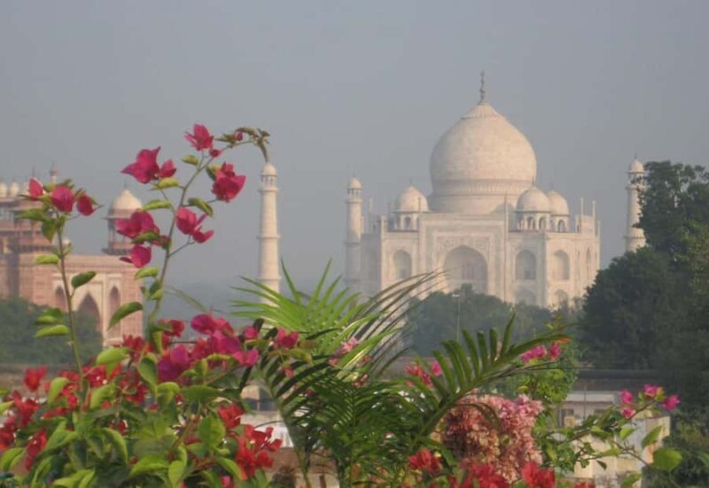 Agra: Taj Mahal and Mausoleum Guided Tour Skip-the-Line - What Travelers Love (and What They Note)