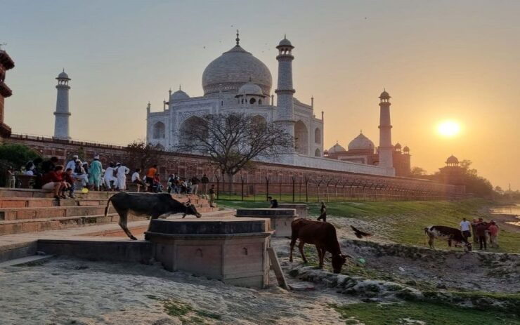 Agra: Taj Mahal Guided Tour With Lunch at 5-Star Hotel - Itinerary
