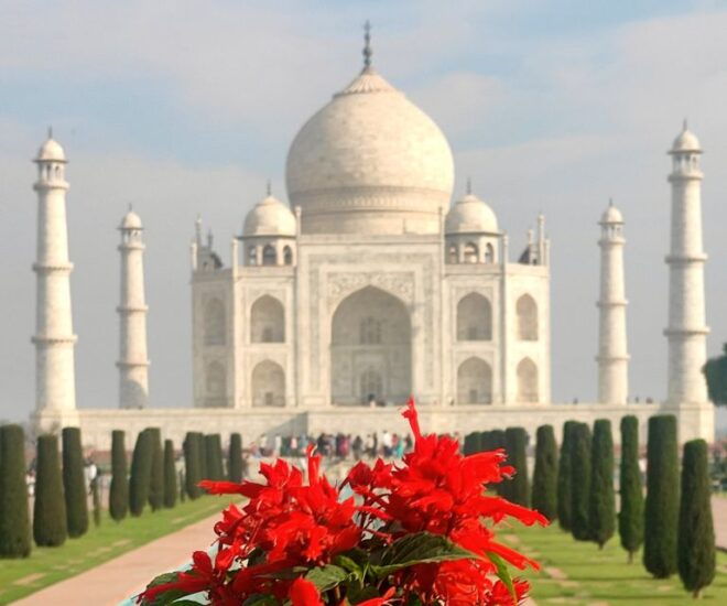 Agra: Taj Mahal Guided Tour With Skip the Line - Full Description