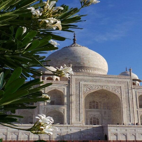 Agra: Tuk Tuk Taj Mahal & City Center Tour - The Sum Up