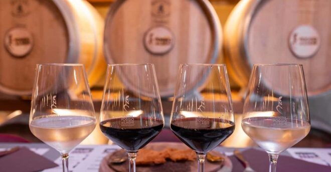 Agricola Poggio Ai Laghi: Tasting of Wines, Oils & Vinegars - Appetizer Delights