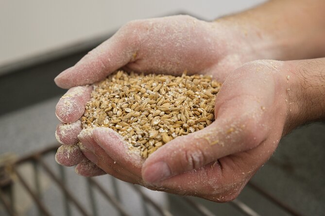 Agricultural Brewery Tour in the Roman Countryside - Tour Highlights