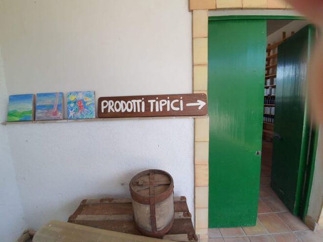 Agrigento: Olive Grove & Most Beautiful Beach Experience - Sensory Tasting Experience