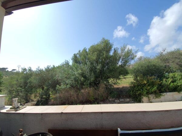 Agrigento: Olive Grove & Most Beautiful Beach Experience - Frequently Asked Questions