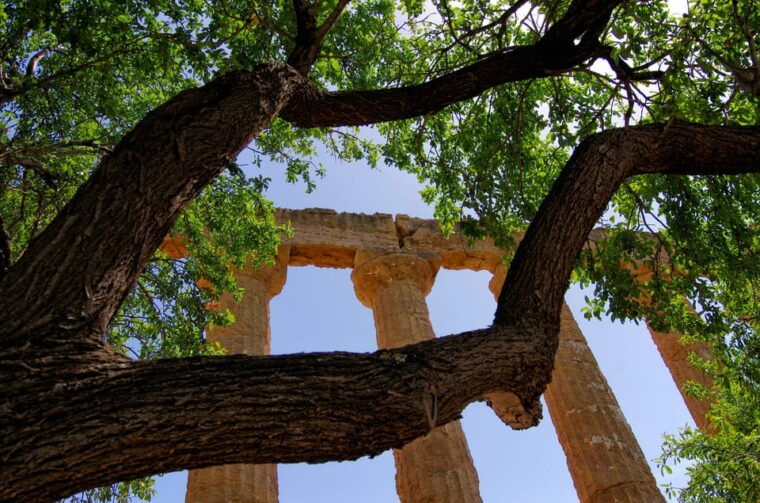 Agrigento: Valley of the Temples Private Archeological Tour - Who Will Love This Tour?