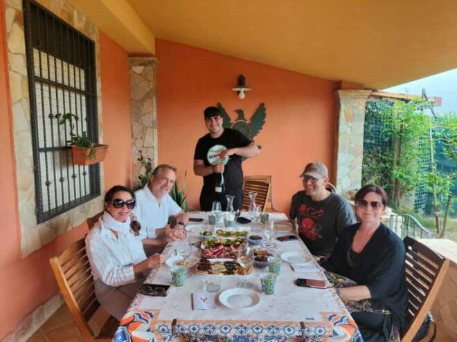 Agrigento: Wine Tasting and Walk in the Vineyards. - Wine Tasting Highlights