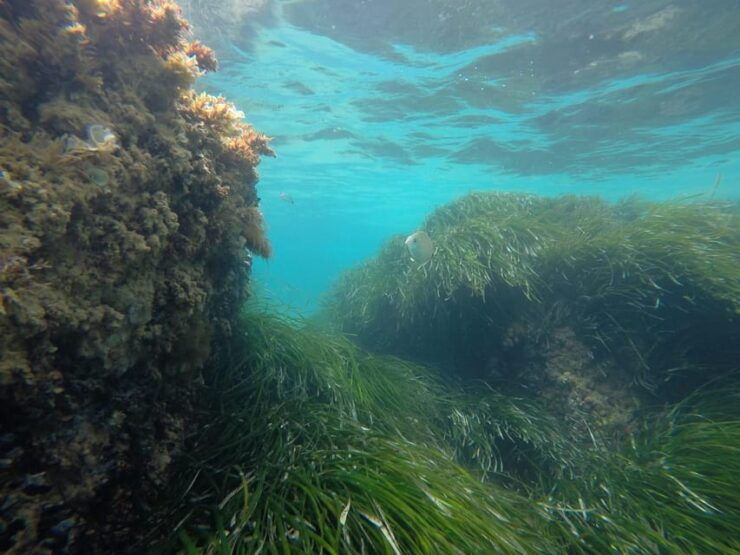 AGRIGENTO WWF COAST: Baptism of the Diver Experience - Good To Know