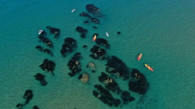 Agrigento: WWF TOUR at Torre Salsa by Cala Manbrù - Highlights of the Tour