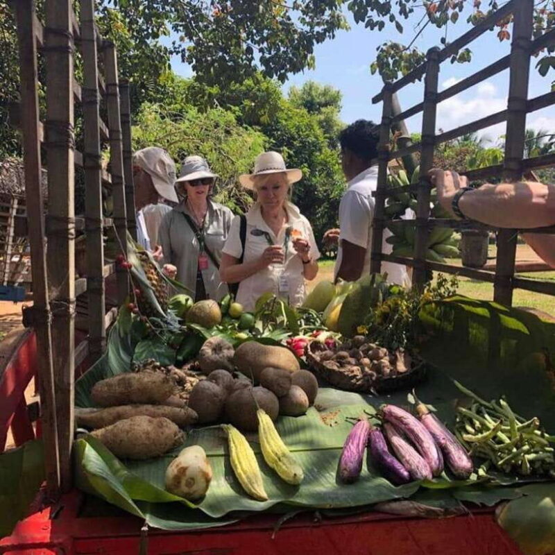 Agro village: guided walking tour and local lunch - Why This Tour Is Worth Considering