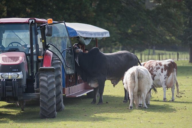 Agrodome Farm Experience Including Farm Show and Farm Tour - Rotorua - Feedback and Questions About the Agrodome Farm Experience