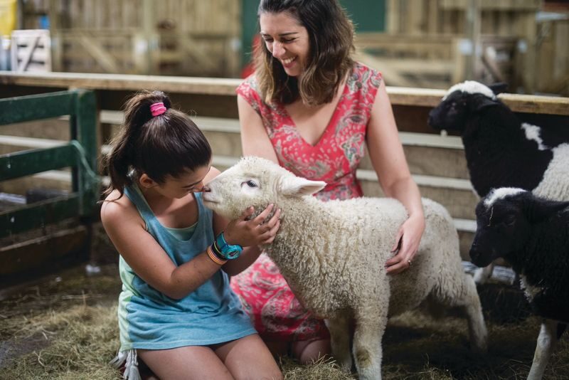 Agrodome Farm Show and Tour Ticket in Rotorua - Should you book the Agrodome Farm Experience?