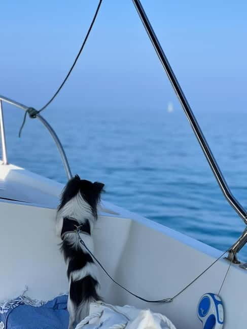 Agropoli: sunset boat tour with aperitif - The Sum Up: Why You Should Consider This Sunset Boat Trip