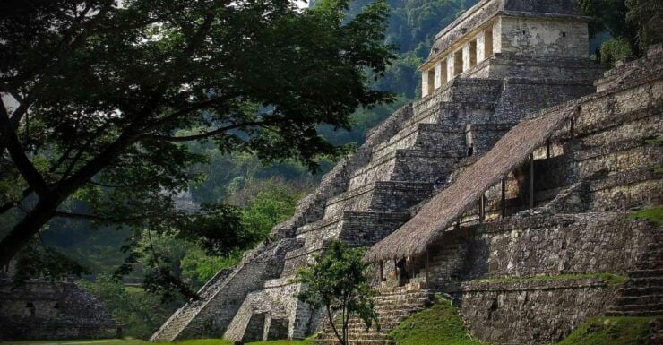 Agua Azul, Misol-Ha & Palenque Ruins From San Cristobal - Tour Details