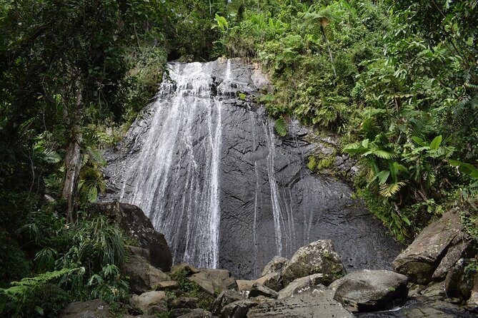 Aguadilla 6 Hour Local Tour - Stop 4: Gozalandia Waterfalls