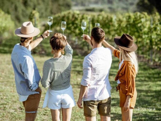 Aguascalientes: Blind Tasting at Hacienda De Letras Vineyard - Inclusions and Amenities
