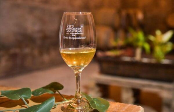 Aguascalientes: Blind Tasting at Hacienda De Letras Vineyard - Frequently Asked Questions