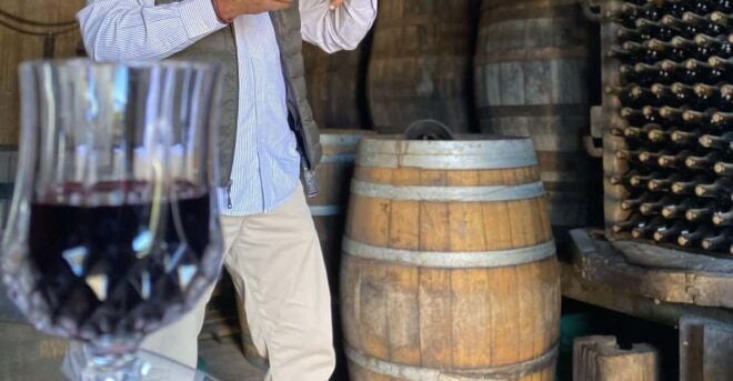 Aguascalientes: Cheese and Wine Tour - Experience Highlights